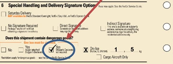 Shipping Papers Example Shipping Papers Example